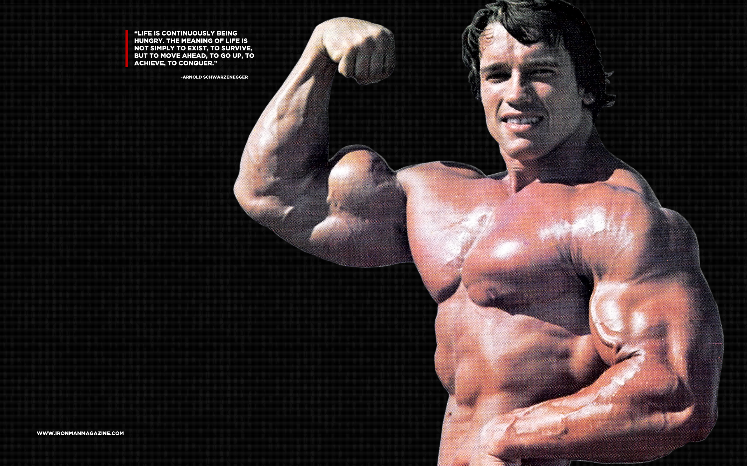 Arnold Schwarzenegger Desktop Wallpaper -
