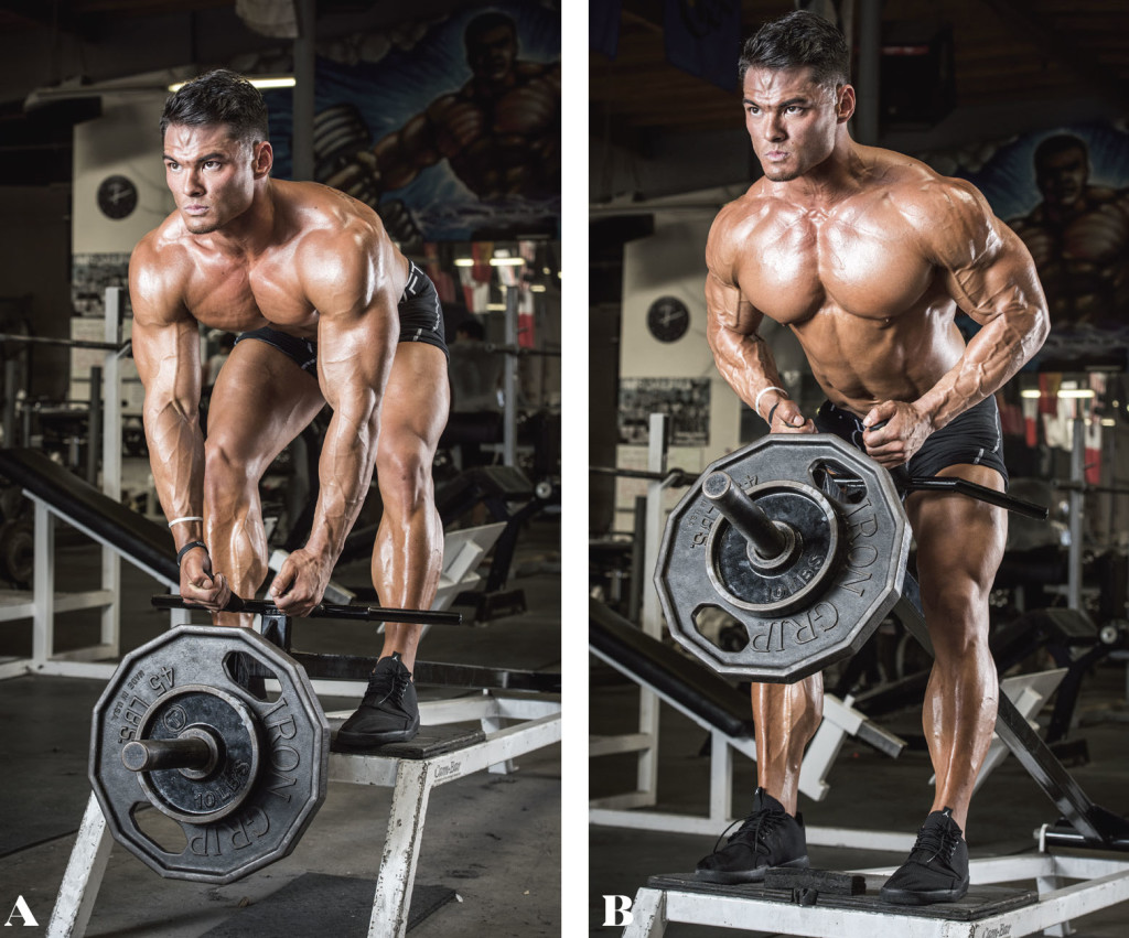 Serious Pull for Back & Biceps