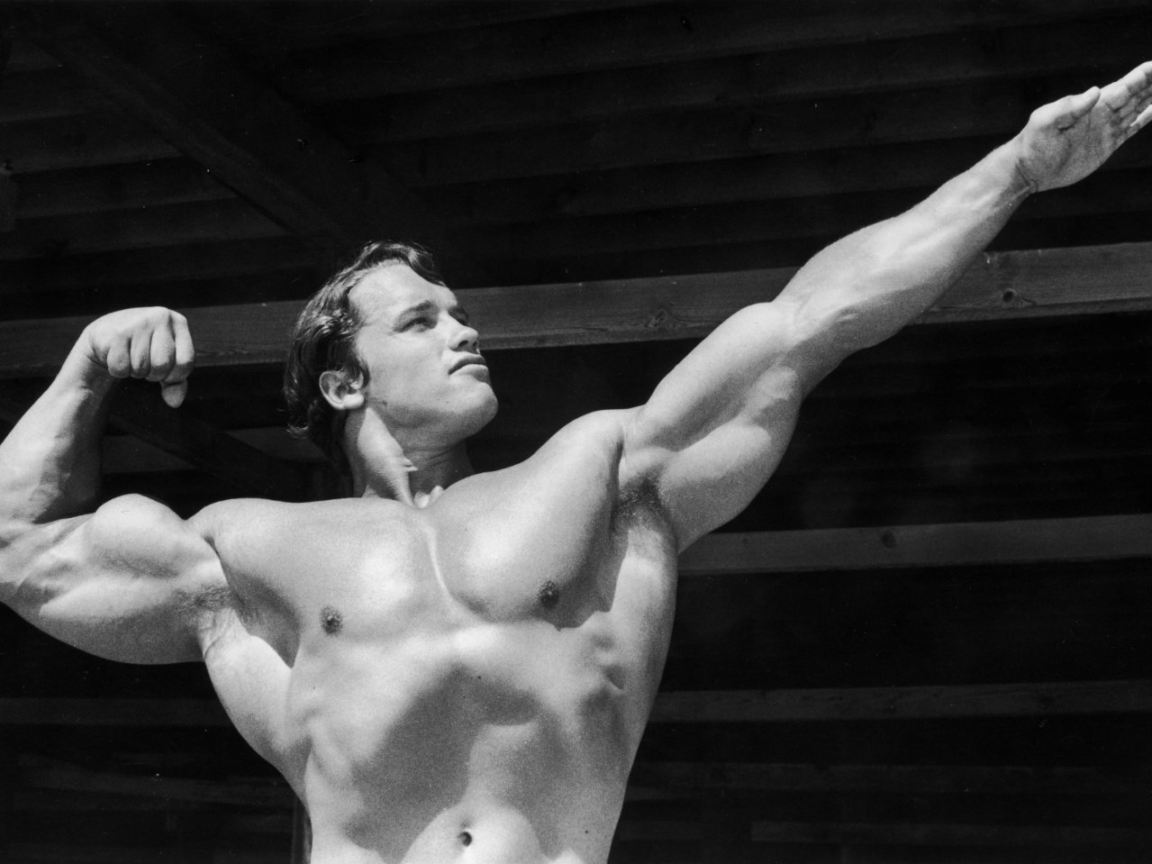 What Is The Arnold Workout Split? - Steel Supplements