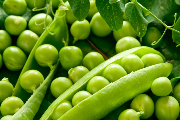 Putting The “Pea” In Protein