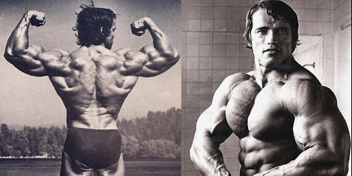 The Arnold Press: Achieving the Ultimate Arnold Physique 