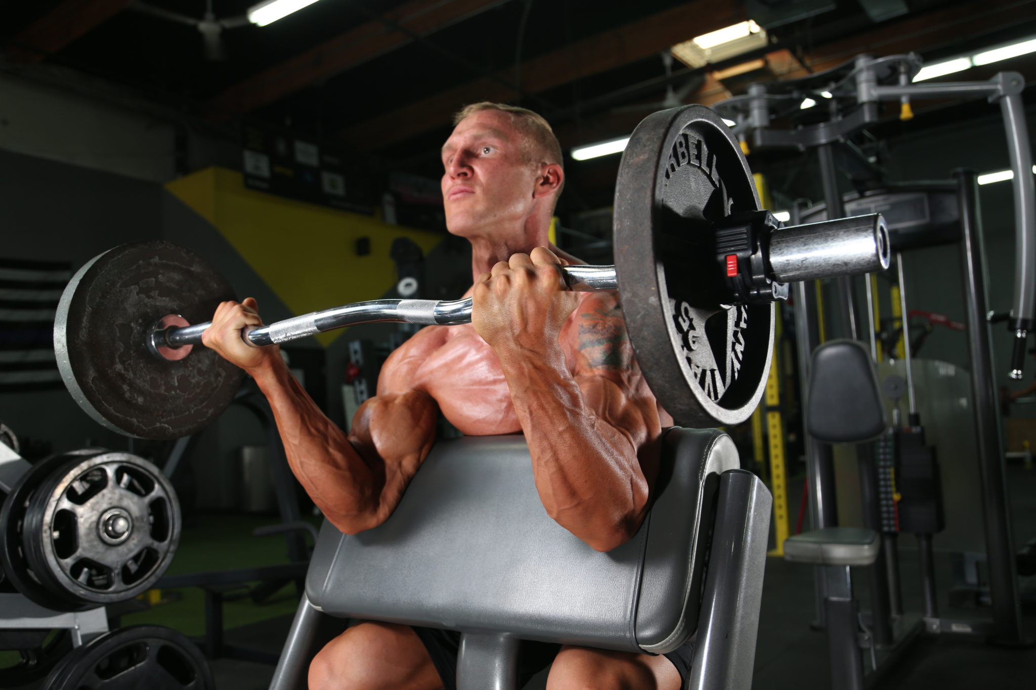 The Complete Pull Day Workout for Bodybuilders