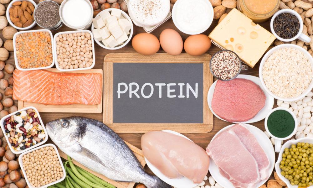 Proteines pourquoi votre corps en a besoin