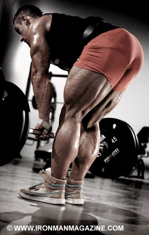 Mass Insanity Crazy Training for Insane Muscle Gaining