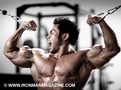 Mass Insanity Crazy Training for Insane Muscle Gaining