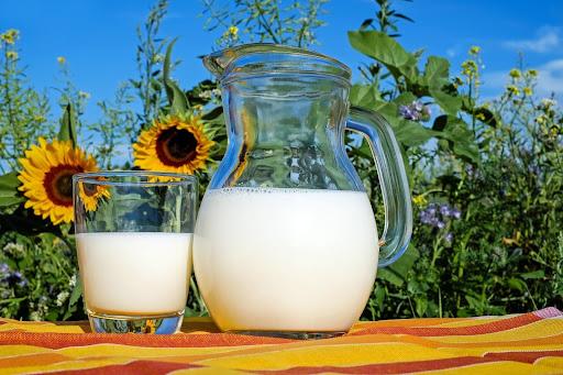 milk bodybuilding protein