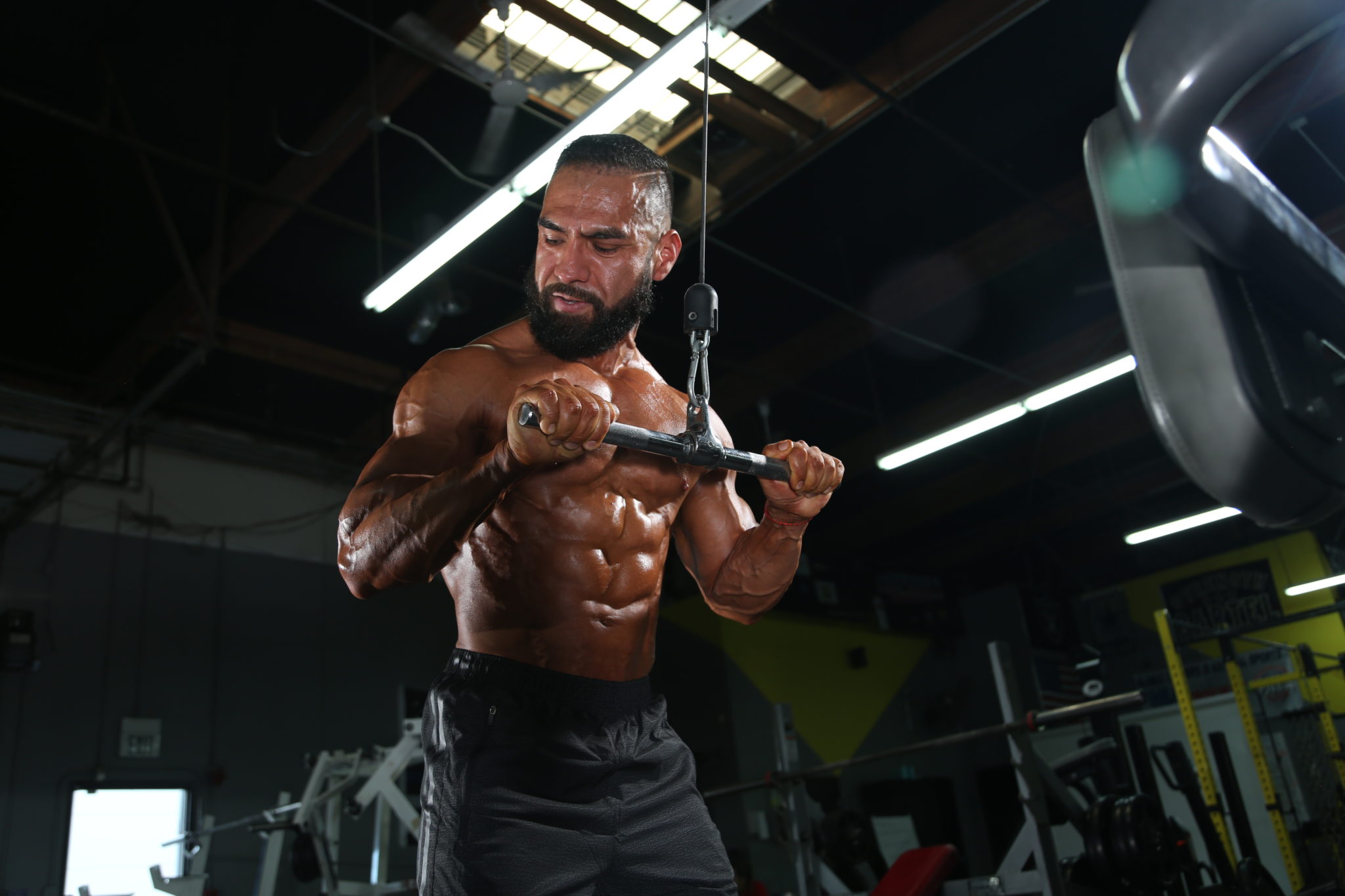 The Complete Push Day Workout for Bodybuilders